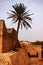 Palm tree on exotic ancient remains