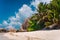 Palm tree at famous paradise Anse Source d'Argent beach at La Digue, Seychelles