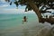 A palm tree fruit and the swings on the thai beach