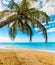 Palm tree and golden sand in La Perle beach