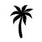 Palm tree icon. Logo coconut palm. Black silhouette palm isolated on white background. Coconuts palmtree for design summer prints.