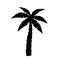 Palm tree icon. Logo coconut palm. Black silhouette palm isolated on white background. Coconuts palmtree for design summer prints.