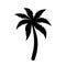 Palm tree icon. Logo coconut palm. Black silhouette palm isolated on white background. Coconuts palmtree for design summer prints.