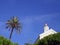 Palm tree and Italian church