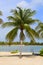 Palm tree and kayak at the Caribbean beach
