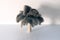 A palm tree like dust remover like a sculpture