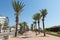 Palm-tree lined promenade with lampposts Yasmine Hammamet, Tunisia