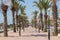 Palm-tree lined promenade Yasmine Hammamet, Tunisia, Africa