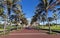 Palm Tree Lined Walkway Leading Towards Moses Mabhida Stadium