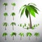 Palm tree on lonely island