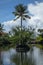 Palm tree in the middle of the pond. Beautiful tropical landscape. Water reflection. Natural background. Blue sky with white