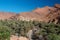 Palm tree oasis in Ait Mansour valley