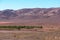 Palm tree oasis in desert terrain and mountains with tectonic foliage in the background. High Atlas. Morocco