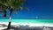 Palm tree over tropical lagoon with white beach