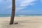 Palm tree and pair of sandals on sandy beach against sky