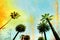Palm Tree Paradise art background - multi layered background