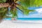Palm tree on Paradise Sunny beach. Anse Lazio beach, Praslin island, Seychelles.