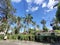 Palm tree parking lot hot afternoon blue sky