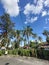 Palm tree parking lot hot afternoon blue sky