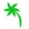 Palm tree plant nature summer icon. Flat and isolated design. Vector illustration