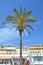 Palm tree and seaside architecture in Nice, France