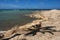 Palm tree shade on cyprus coast