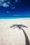 Palm tree shadow on beach