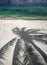 Palm Tree Shadow on Beautiful Beach
