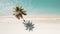 Palm tree with shadow, on idyllic empty beach with white sand, on a warm sunny day. Calm turquoise sea. Generative AI