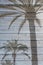 Palm tree shadows on wooden boardwalk planks