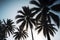 palm tree silhouette. Generative AI