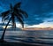 Palm Tree Silhouette, Manzanillo Beach, Costa Rica