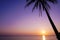 Palm Tree Silhouette on Purple Sunset Background