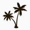 Palm tree silhouette. Realistic tropical plant. Vector.