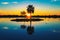 Palm tree silhouette with reflection in a lake at sunset, Namibia, Africa