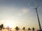 Palm tree silhouette with wind turbine