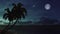 Palm tree silhouettes and night sky with falling stars