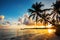 Palm tree silhouettes on the tropical beach, Punta Cana, Dominica