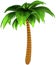 Palm tree single stylized isolated