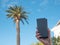A palm tree and a smartphone