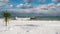 Palm tree at the snow covered beach