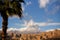 Palm tree and a springtime mountain range