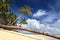 Palm tree stem on tropical paradise beach