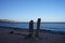 Palm tree stumps on the shore of the Red Sea in the Gulf of Aqaba. Dahab, South Sinai Governorate, Egypt