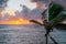 Palm tree and sunrise at San Andrés island