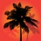 Palm Tree Sunset Silhouettes Vector