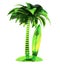 Palm tree surf board surfboard stylized island tropical plant nature green