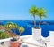 Palm tree on terrace with sea view in Firostefani village, Santorini island, Greece