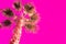 Palm Tree on Toned Fuchsia Sky Background Trendy Color. Surrealistic Vintage Style Copy Space for Text. Tropical Foliage