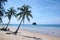 Palm Tree On Tropical Beach